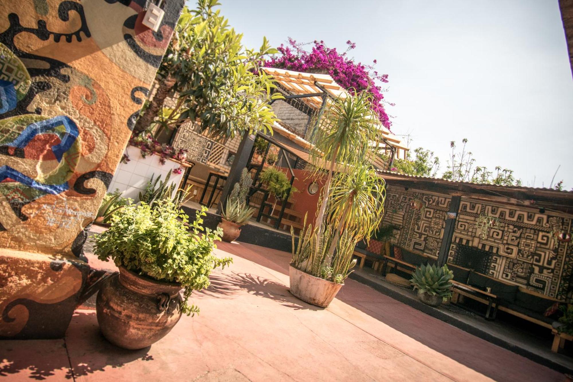 13 Cielos Hostel & Coworking San Cristóbal de Las Casas Exterior foto